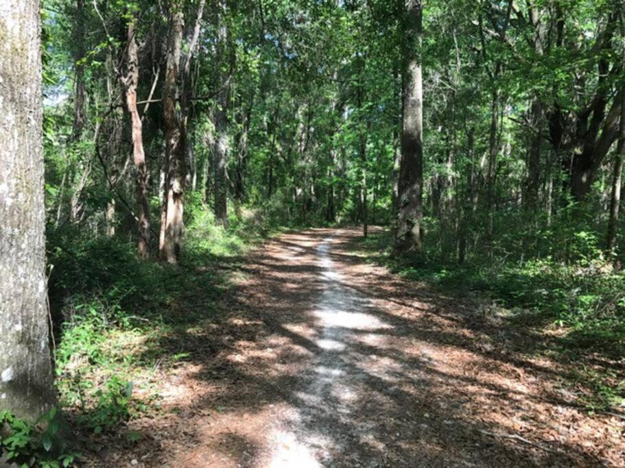 Town & Country Hideaway - 1Br/1Ba, 20 Min Famu/Fsu Daire Tallahassee Dış mekan fotoğraf